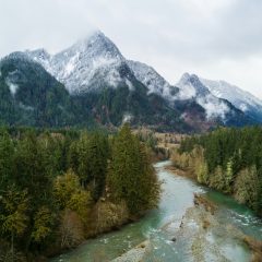 River surrounded by trees in the foreground with Mount Si in the background (in North Bend)