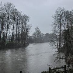 Puyallup river on a gray winter day