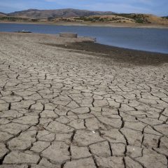 dry, cracked earth near a small lake