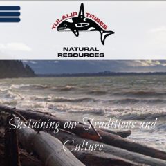 Screenshot of Tulalip Tribes Natural Resources website