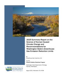 Report cover page showing a river surrounded by trees with a mountain in the distance
