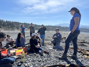 A group of fellows sitting on a beach on a sunny day