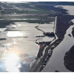 Skagit Floodplain
