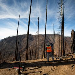 Researchers look at hydrology of post forest fire areas in the Umpqua forest