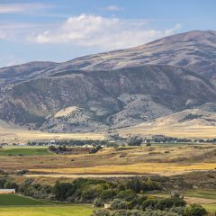 Yellow plains and mountains in the background based in Idaho